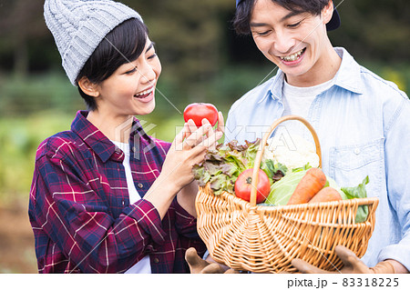 畑で野菜を収穫するカップル 83318225