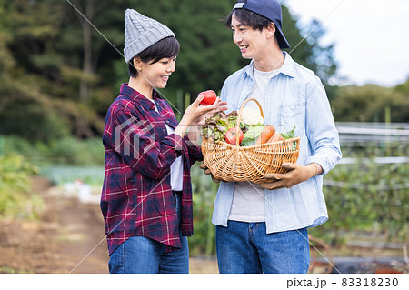 畑で野菜を収穫するカップル 83318230