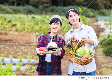 畑で野菜を収穫するカップル 畑で野菜を収穫するカップル 83318264