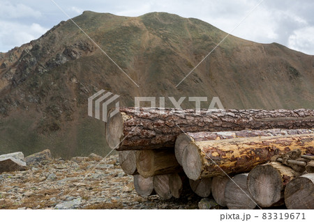 Pile of sawn logs 83319671