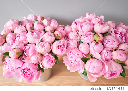 Pink Angel Cheeks peonies in a metal vase. Beautiful peony flower for catalog or online store. Floral shop concept . Beautiful fresh cut bouquet. Flowers delivery Pink Angel Cheeks peonies in a metal vase. Beautiful peony flower for catalog or online store. Floral shop concept . Beautiful fresh cut bouquet. Flowers delivery 83321431