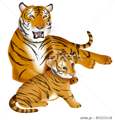 虎のイラストのイラスト素材 [83323118] - PIXTA