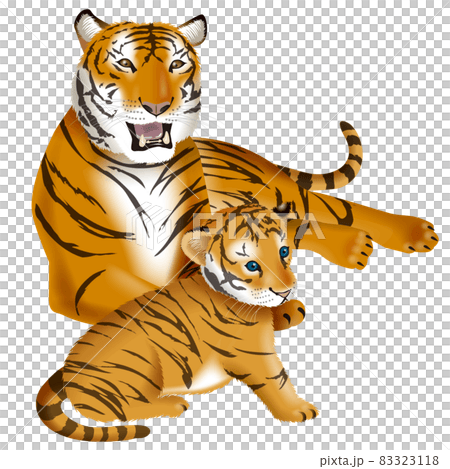 Tiger's illustration 83323118