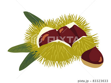 栗　イラスト 83323633