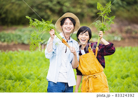 畑で野菜を収穫するカップル 83324392