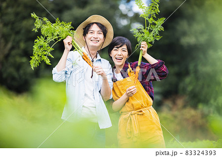 畑で野菜を収穫するカップル 83324393