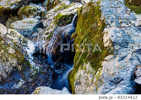 空青く、高く、落ち葉ふみしめ裸木の中を歩く 83324812