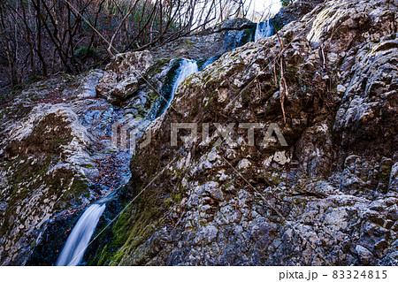 空青く、高く、落ち葉ふみしめ裸木の中を歩く 83324815
