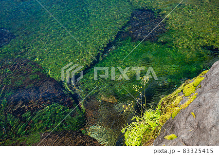 富士山本宮浅間大社　湧玉池 83325415