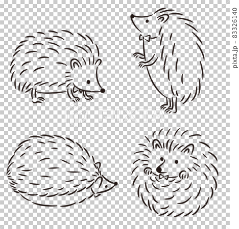 ハリネズミのモノクロ線画イラストのイラスト素材