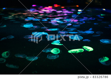 水族館のクラゲ 水族館のクラゲ 83326786