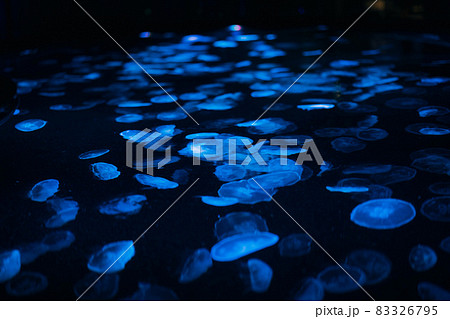 水族館のクラゲ 83326795