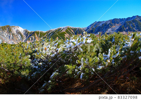 立山室堂平 立山黒部アルペンルート 立山室堂平 立山黒部アルペンルート 83327098