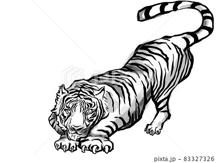 獲物を狙って飛び降りた寅(墨絵) 獲物を狙って飛び降りた寅(墨絵) 83327326