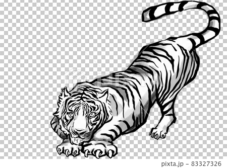 獲物を狙って飛び降りた寅(墨絵) 獲物を狙って飛び降りた寅(墨絵) 83327326