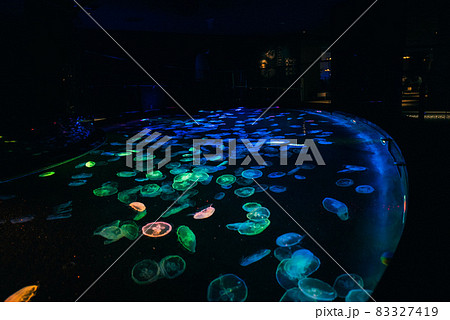 水族館のクラゲ 水族館のクラゲ 83327419