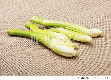 マコモダケ　マコモタケ　健康食材　健康野菜　真菰筍　 83329071