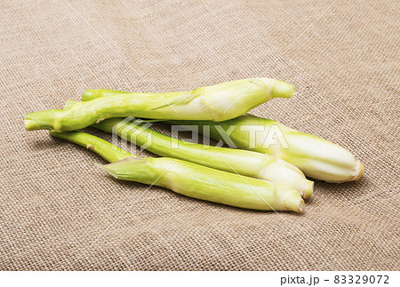 マコモダケ マコモタケ 健康食材 健康野菜 真菰筍 マコモダケ マコモタケ 健康食材 健康野菜 真菰筍 83329072