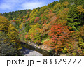 むつ市薬研渓流の紅葉 83329222