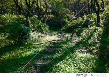 増山城址　一ノ丸　散策道　砺波市 83329882