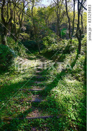 増山城址　一ノ丸　散策道　砺波市 83329883