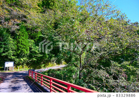 増山城址　砺波市 83329886