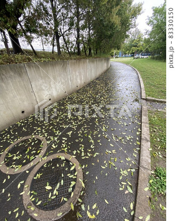 雨の散歩道の写真素材 [83330150] - PIXTA