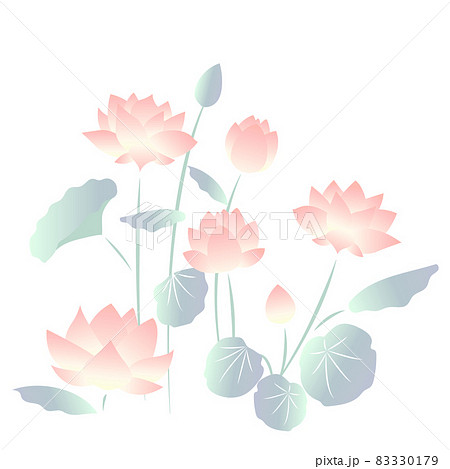 自然に咲く蓮の花のイラスト 83330179