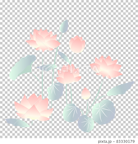 自然に咲く蓮の花のイラスト 83330179
