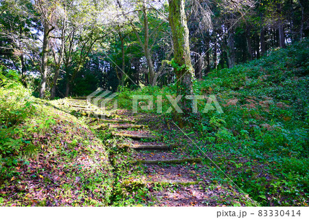 増山城址　一ノ丸　散策道　砺波市 83330414
