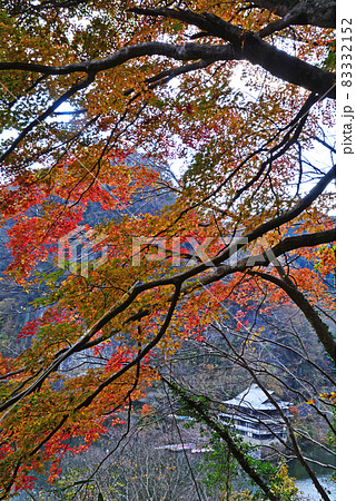 帝釈峡の紅葉 83332152