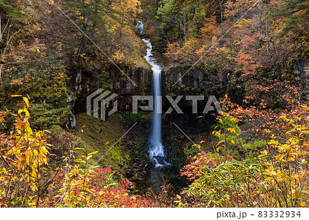 曽利の滝 曽利の滝 83332934