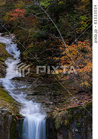 曽利の滝 曽利の滝 83333034