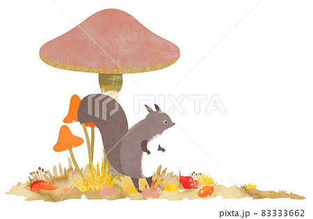 다람쥐와 버섯 - 스톡일러스트 [83333662] - Pixta