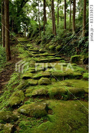 波田須の道(鎌倉期の石畳)　【三重県熊野市新鹿町】 83333673