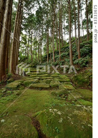 波田須の道(鎌倉期の石畳)　【三重県熊野市新鹿町】 83333675