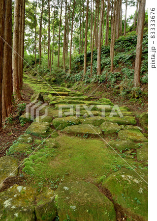 波田須の道(鎌倉期の石畳)　【三重県熊野市新鹿町】 83333676