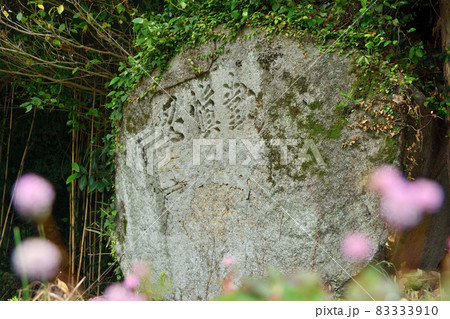 文字岩「勤愼忍」【三重県熊野市新鹿町】 文字岩「勤愼忍」【三重県熊野市新鹿町】 83333910