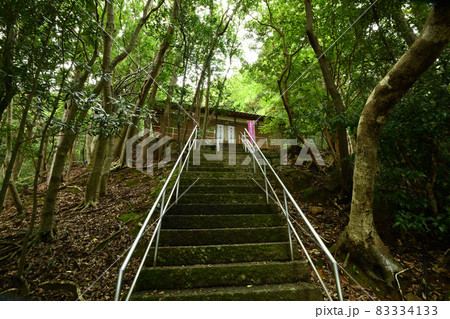 波田須神社　【三重県熊野市新鹿町】 83334133