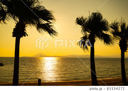 ゴールドビーチでヤシの木の間から照り付ける夕日 83334272