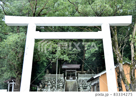 徳司神社　【三重県熊野市新鹿町】 83334275