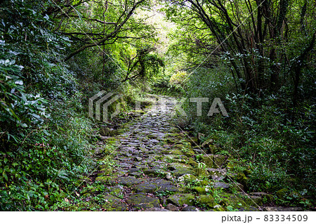 石畳の街道　箱根旧街道 83334509