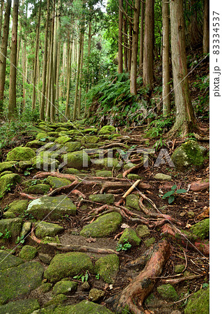 大吹峠越えの古道(波田須側)　【三重県熊野市新鹿町】 83334537