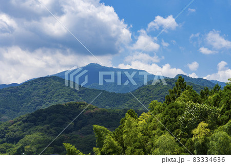 【神奈川県】県立七沢森林公園 83334636