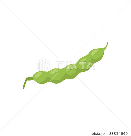 Green fresh young bean or pea pod one isolated on white background. Vector flat cartoon illustration of bean pod for healthy vegetarian food packaging design. 83334649