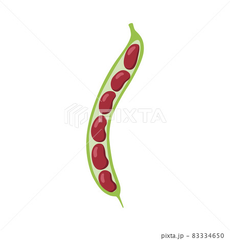 Pod of red beans and visible beans isolated on white background. Vector flat illustration of fresh organic healthy food. 83334650