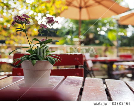 神戸北野異人館めぐり 83335462