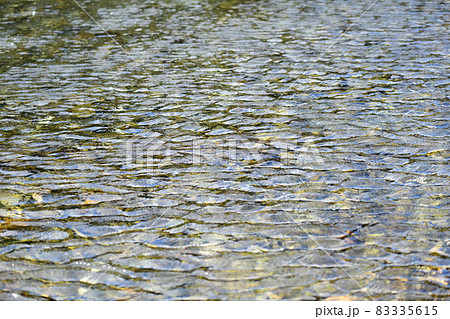 清流における微風によるさざ波 清流における微風によるさざ波 83335615