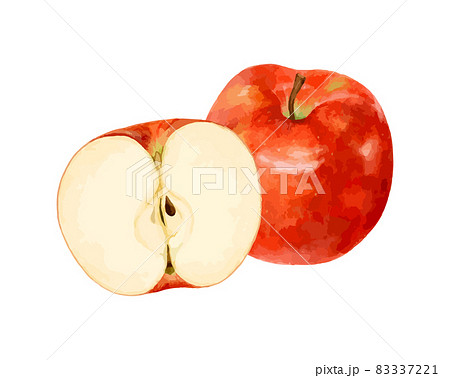 カットされたりんごの水彩ベクターイラスト カットされたりんごの水彩ベクターイラスト 83337221