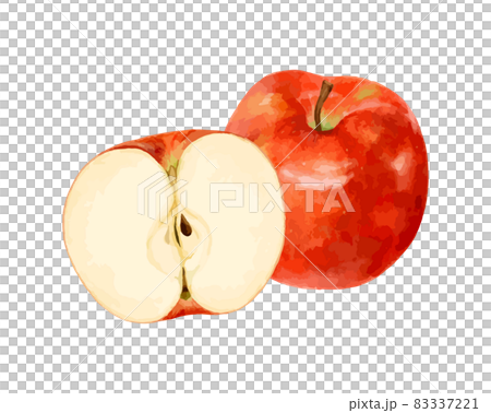 Watercolor vector illustration of cut apples 83337221